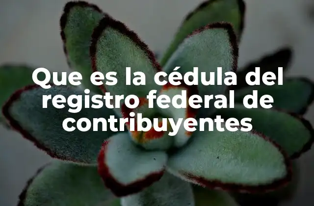 Que es la Cédula Del Registro Federal de Contribuyentes