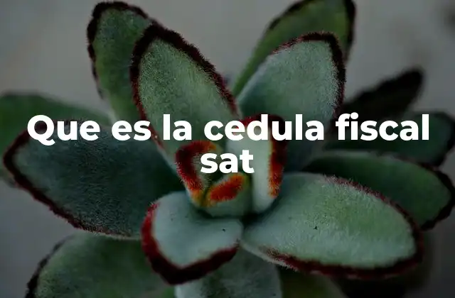 Que es la Cedula Fiscal Sat