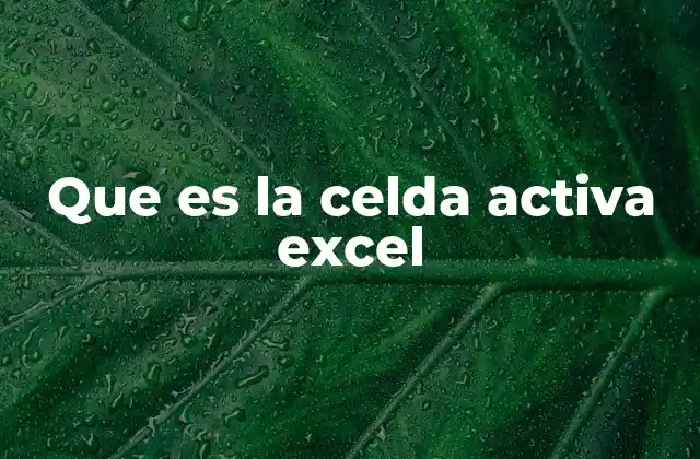 Que es la Celda Activa Excel
