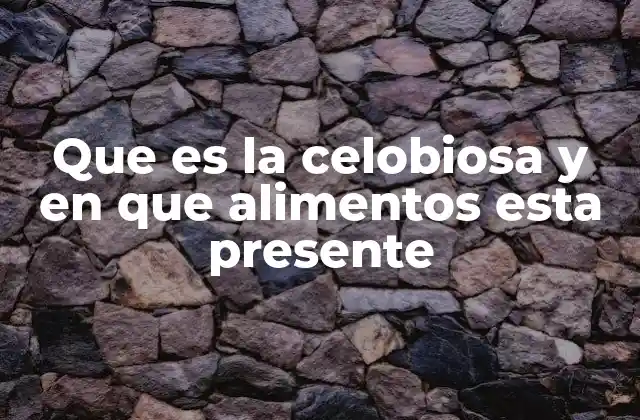 Que es la Celobiosa y en que Alimentos Esta Presente