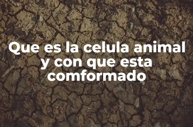 Que es la Celula Animal y con que Esta Comformado
