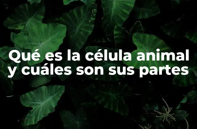 Estructura y función de la célula animal