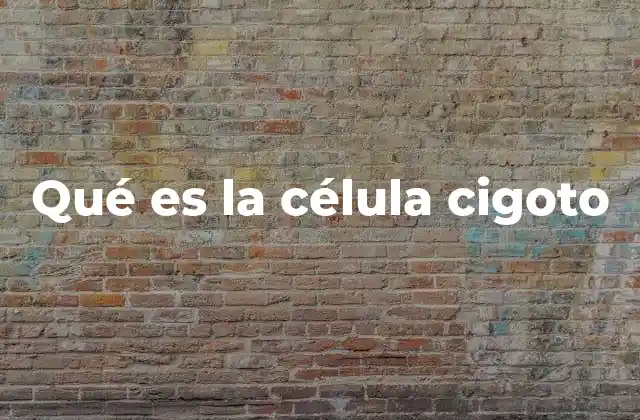 Qué es la Célula Cigoto 2 El comienzo de la vida: ¿cómo se origina el cigoto?