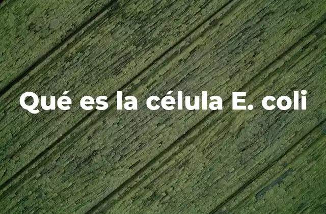 Qué es la Célula E. Coli