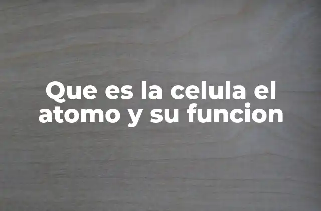 Que es la Celula el Atomo y Su Funcion 2 La relación entre la estructura y la función en la célula y el átomo