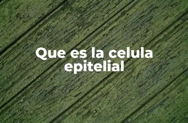 Estructura y características de las células epiteliales