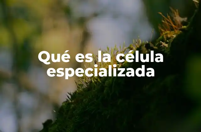 Qué es la Célula Especializada