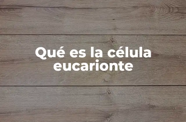 Qué es la Célula Eucarionte