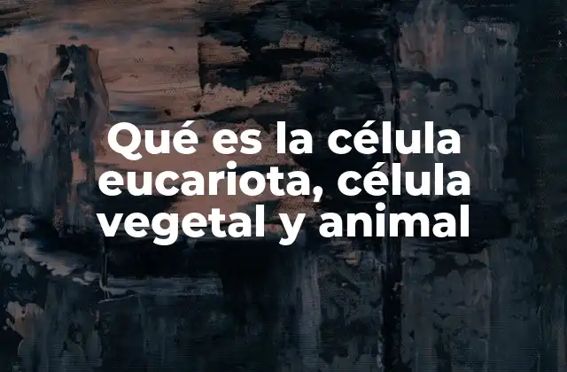 Qué es la Célula Eucariota, Célula Vegetal y Animal