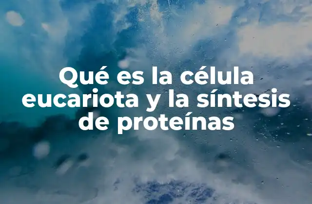 Qué es la Célula Eucariota y la Síntesis de Proteínas