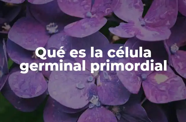 Qué es la Célula Germinal Primordial