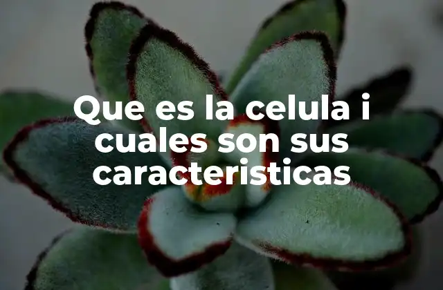 Que es la Celula I Cuales Son Sus Caracteristicas