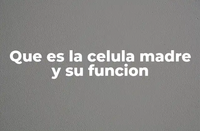 Que es la Celula Madre y Su Funcion