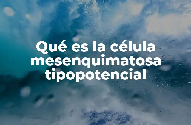 Qué es la Célula Mesenquimatosa Tipopotencial