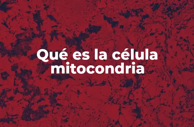 Qué es la Célula Mitocondria