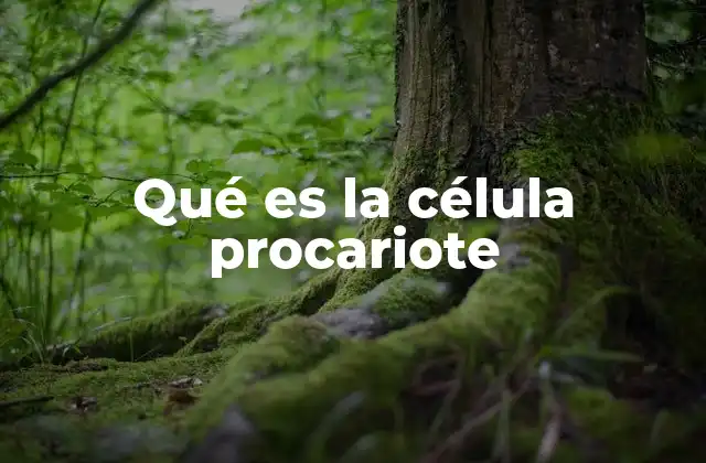 Qué es la Célula Procariote