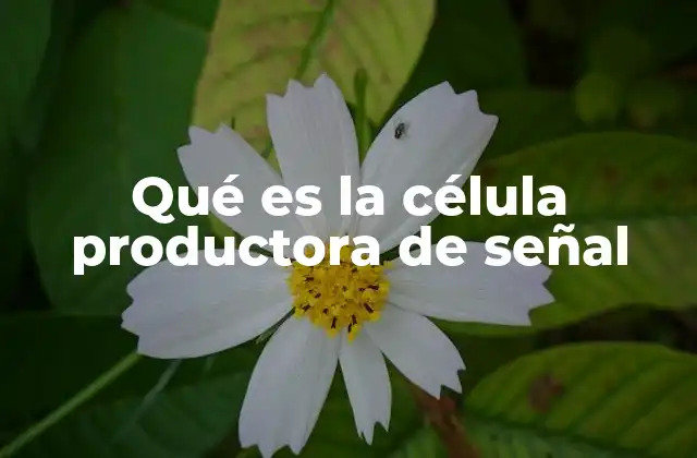 Qué es la Célula Productora de Señal
