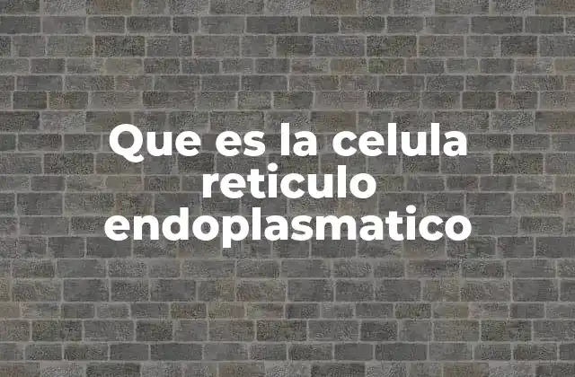 Que es la Celula Reticulo Endoplasmatico