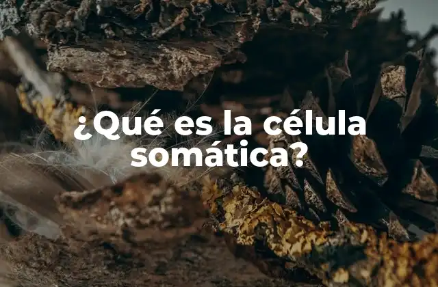 ¿qué es la Célula Somática? 2 Estructura y función de las células que componen el cuerpo