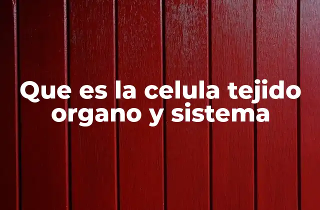 Que es la Celula Tejido Organo y Sistema