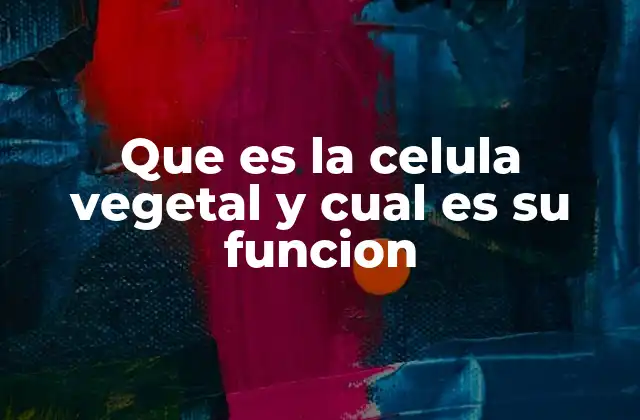 Que es la Celula Vegetal y Cual es Su Funcion