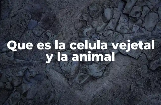 Que es la Celula Vejetal y la Animal