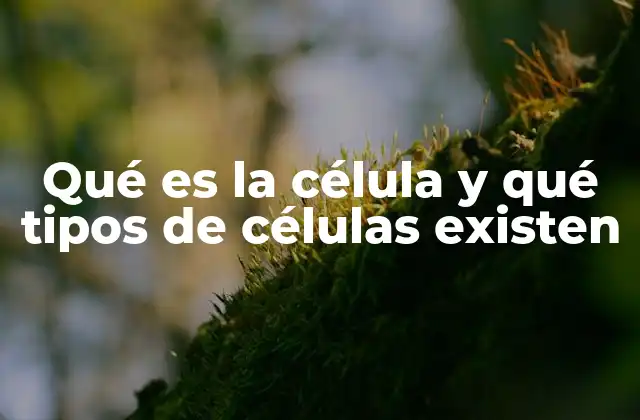 Qué es la Célula y Qué Tipos de Células Existen