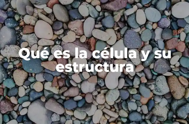 Qué es la Célula y Su Estructura