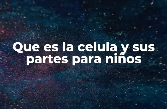 Aprende sobre la estructura básica de una célula de forma sencilla