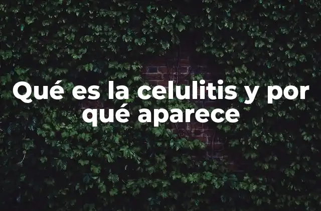 Qué es la Celulitis y por Qué Aparece