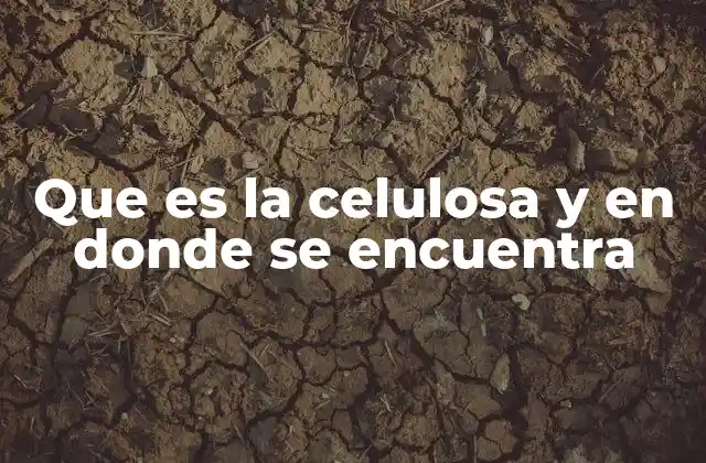 Que es la Celulosa y en Donde Se Encuentra
