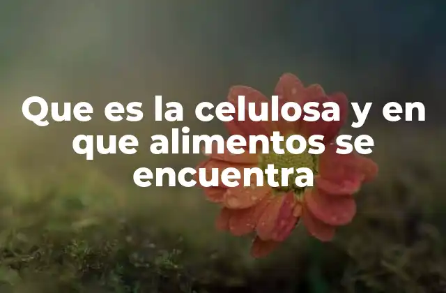 Que es la Celulosa y en que Alimentos Se Encuentra