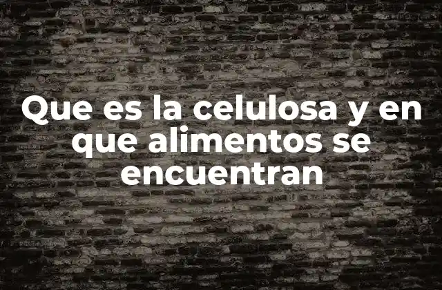 Que es la Celulosa y en que Alimentos Se Encuentran