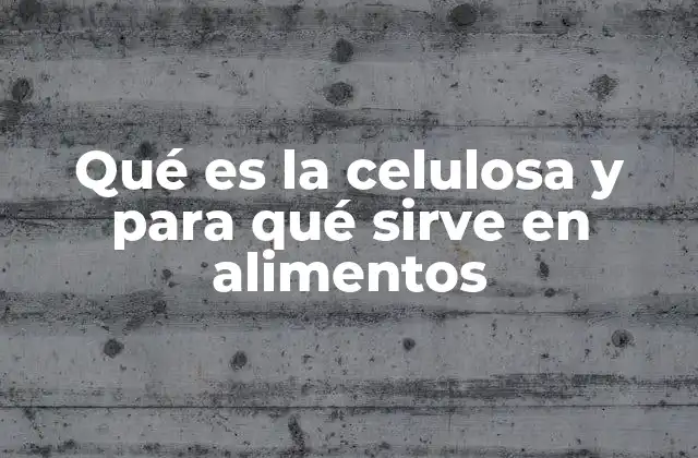 Qué es la Celulosa y para Qué Sirve en Alimentos 2 La celulosa como ingrediente esencial en la industria alimentaria