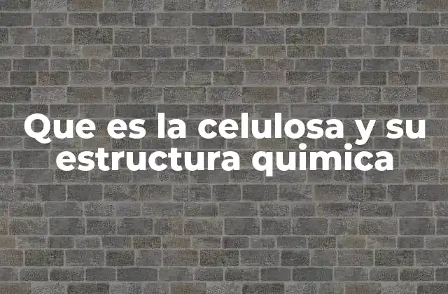 Que es la Celulosa y Su Estructura Quimica