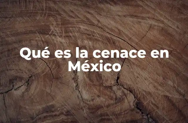 Qué es la Cenace en México