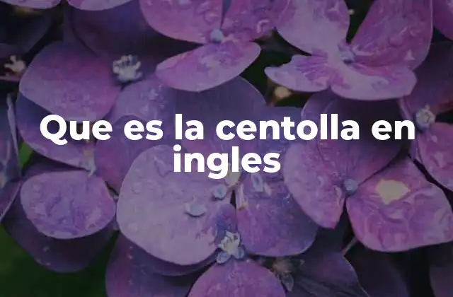 Que es la Centolla en Ingles
