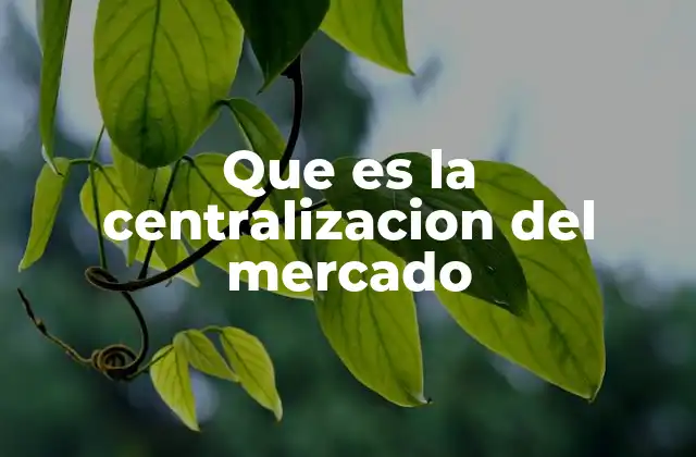 Que es la Centralizacion Del Mercado