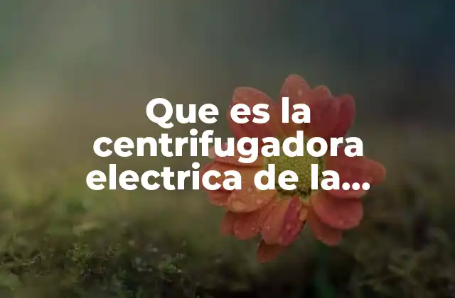 Que es la Centrifugadora Electrica de la Apicultura