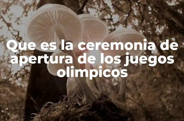 Que es la Ceremonia de Apertura de los Juegos Olimpicos 2 La ceremonia de apertura como un evento cultural y de identidad nacional