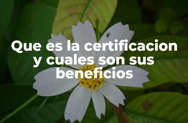 Que es la Certificacion y Cuales Son Sus Beneficios