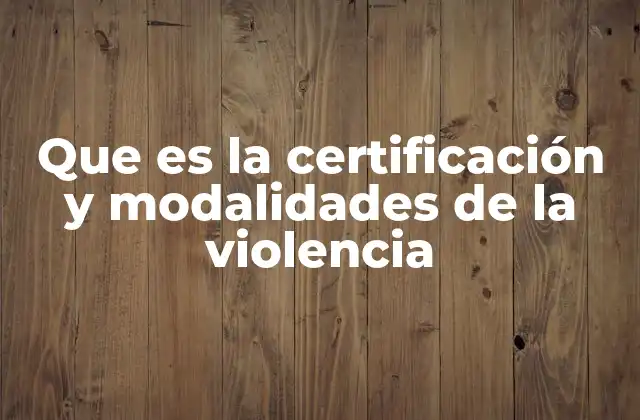 Que es la Certificación y Modalidades de la Violencia 2 El rol de las instituciones en la documentación de la violencia