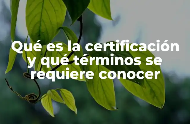 Qué es la Certificación y Qué Términos Se Requiere Conocer