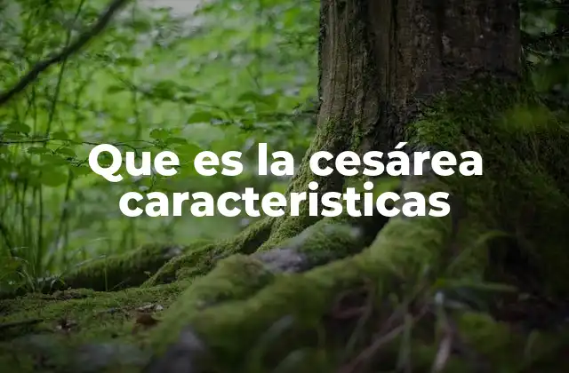 Características que diferencian la cesárea del parto vaginal