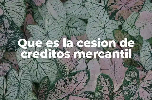 Que es la Cesion de Creditos Mercantil