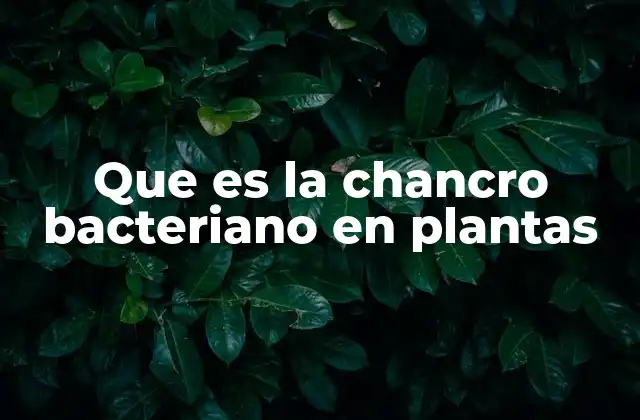 Que es la Chancro Bacteriano en Plantas