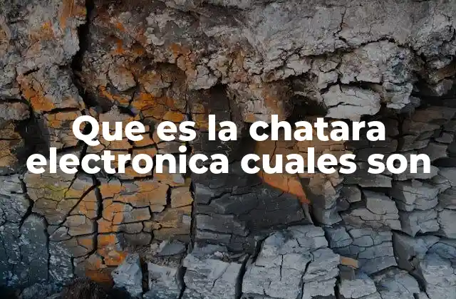 Que es la Chatara Electronica Cuales Son
