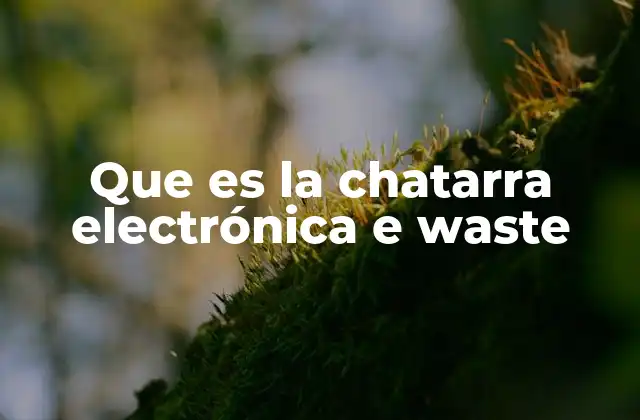 Que es la Chatarra Electrónica e Waste