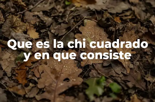 Que es la Chi Cuadrado y en que Consiste