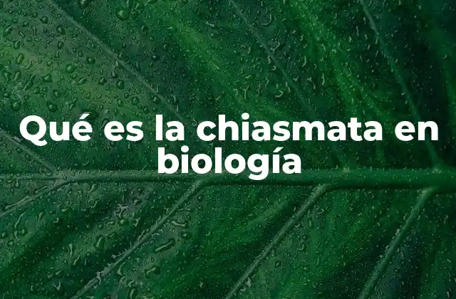 El chiasmata y su papel en la meiosis